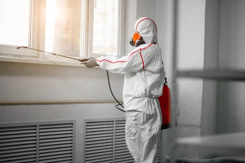 Professional mold remediation services in Boynton Beach, FL